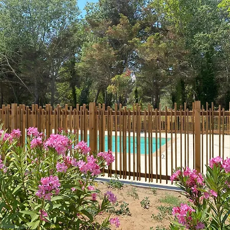 Agence Jf Immo-t2 Climatise 4 Pers Avec Terrasse Vue Campagne Piscine Et Parking V0773 شقة